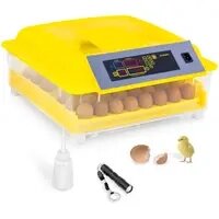 Інкубатор - 48 яєць - з лампою для обрізання та дозатором води - повністю автоматичний