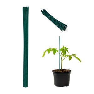Темно-зелені палички для рослин 90 см Набір з 50 шт.