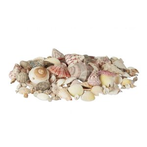 Набір черепашок з морськими равликами 1 кг