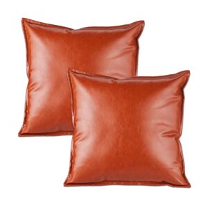 Набір з 2 подушок зі шкіряним покриттям