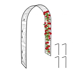 Залізна арка-троянда