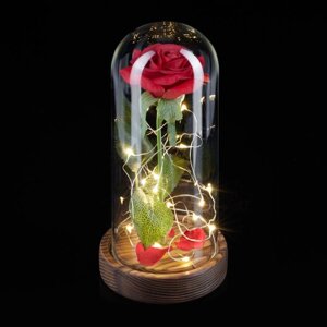 Вічна троянда у склі зі світлом
