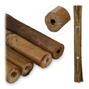 Декоративні бамбукові стовпчики 50 шт. для підтримки рослин у міру їх зростання, 75 см