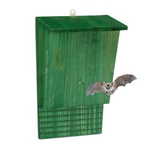 Зелений дерев'яний ящик для кажанів