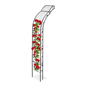 Напівкругла арка-троянда для настінного кріплення