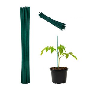 Зелені посадочні палички 30 см в наборі 50 шт.