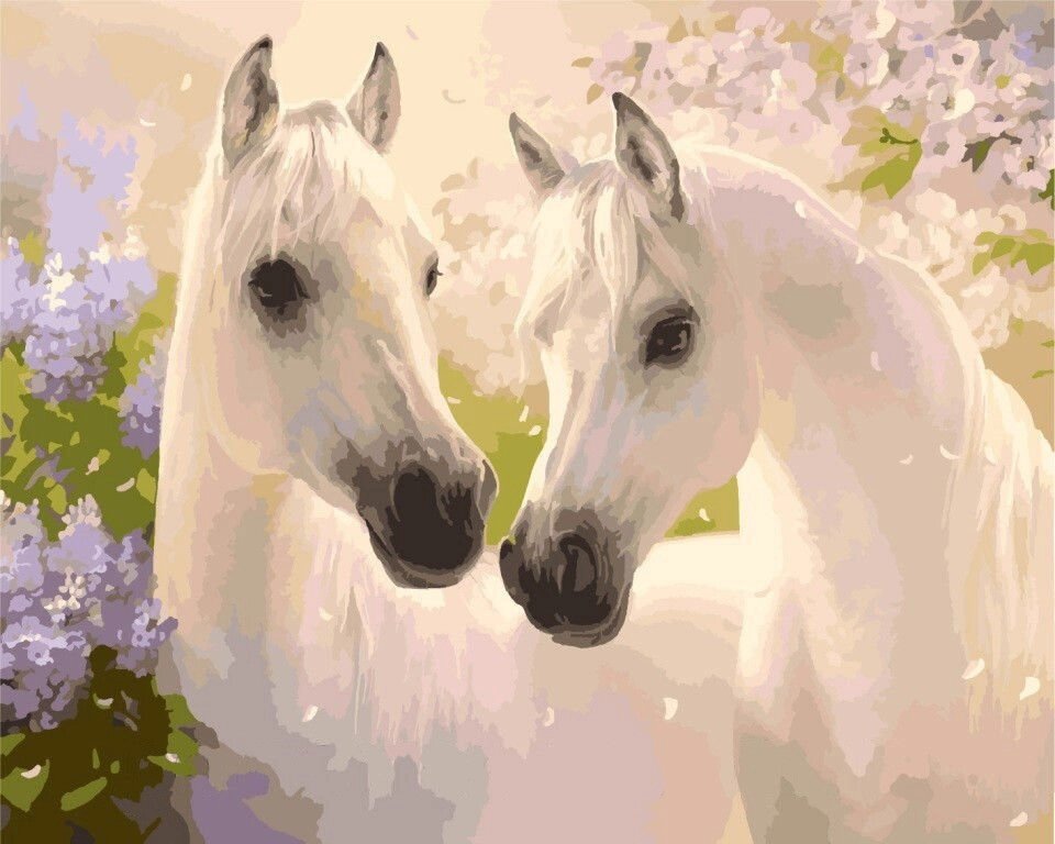 Картина по номерам на полотні - 40 * 50см ідейка КН2433 Білі коні - розпродаж