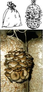 Поліетиленові пакети для вирощування грибів 37*90