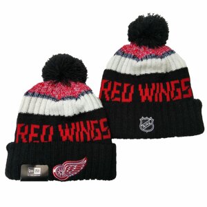 Шапка зимняя Detroit Red Wings/ SPK-065