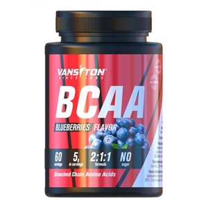 Амінокислота BCAA Vansiton BCAA 300 грам Чорниця