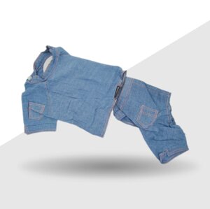 Костюм для собачки з джинсу з шортами або спідницею 43х64