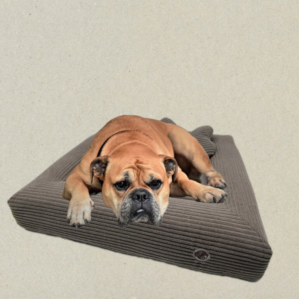 Лежак для собак  Герос №5 104х144х22 (80х120) сірий від компанії Shock km ua - фото 1