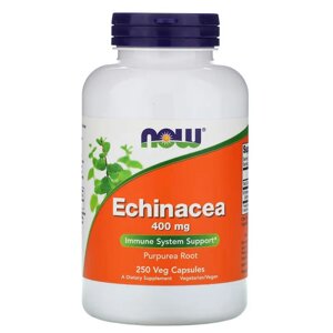 Натуральна добавка NOW Echinacea 400 mg, 250 вегакапсул