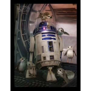 Постер у рамі Star Wars The Last Jedi (R2-D2 & Porgs) / Зоряні війни 30 х 40 см