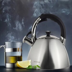 Чайник із свистком Ofenbach KM-100309 4.5 л сріблястий