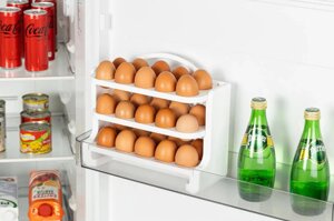 Органайзер для зберігання яєць на 30 шт. Folly BNM-6874