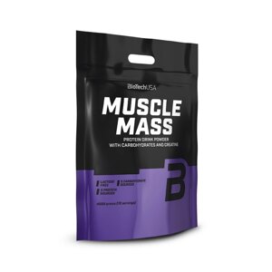 Гейнер BioTech Muscle Mass, 4 кг Ваніль