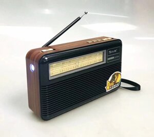 Радіоприймач Golon RX-BT169