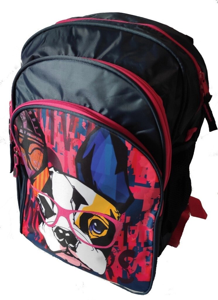 Рюкзака шкільний для дівчинки Paso синій від компанії Shock km ua - фото 1