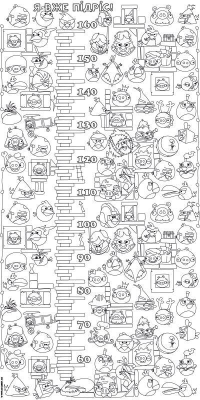 Шпалери-розмальовки Ростомір Angry Birds 60*120 C-120008 від компанії Shock km ua - фото 1