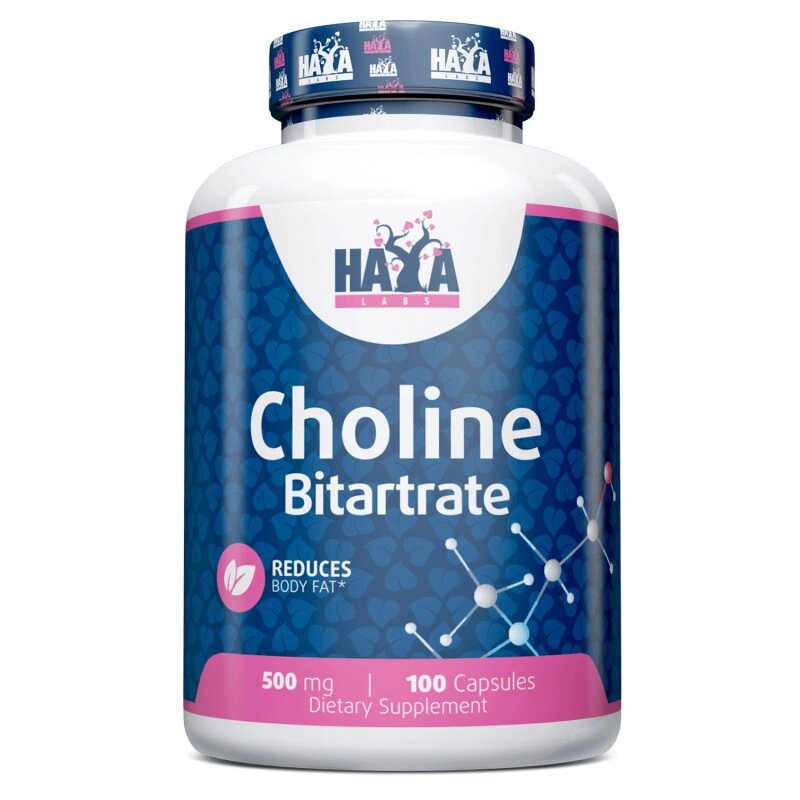 Вітаміни та мінерали Haya Labs Choline Bitartrate 500 mg, 100 капсул від компанії Shock km ua - фото 1