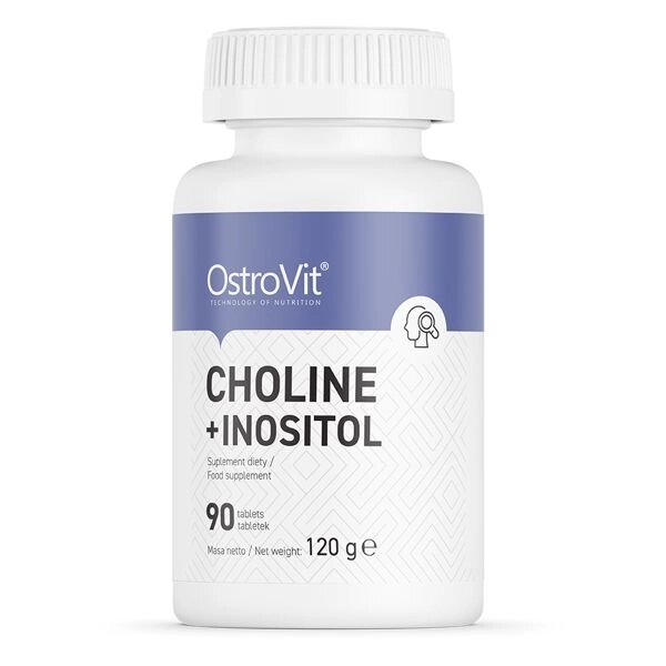 Вітаміни та мінерали OstroVit Choline + Inositol, 90 таблеток від компанії Shock km ua - фото 1
