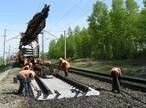 Будівництво залізничних колій