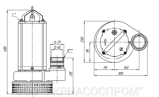 Чертеж насоса ГНОМ25-20