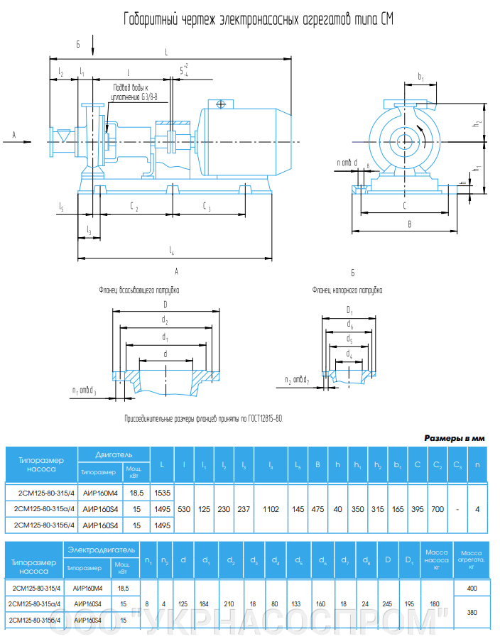 Креслення насосу 2СМ125-80-315