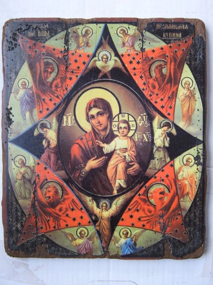 Ікона Пресвятої Богородиця Неопалима Купина 30х20 см від компанії Іконна лавка - фото 1