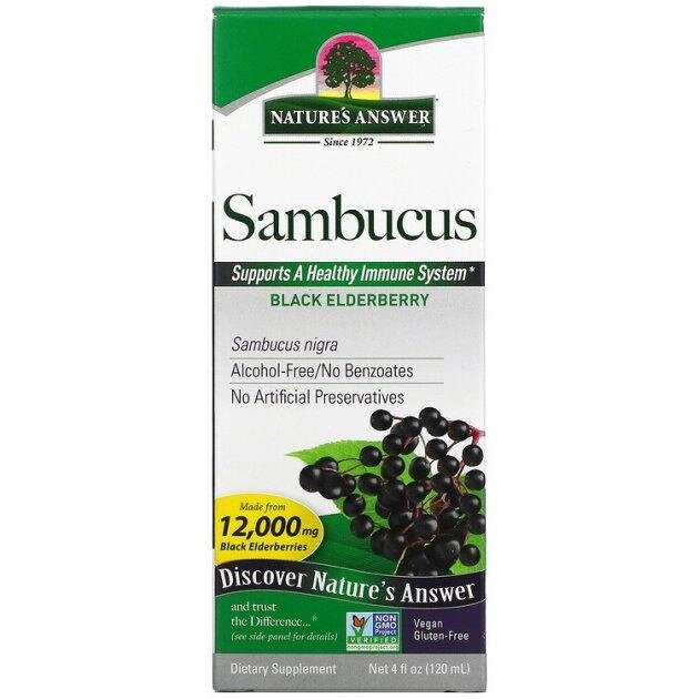 Sambucus, екстракт чорного бузини, природа Asswer, 12000 мг, 120 мл від компанії Інтернет магазин "Канбан" - фото 1