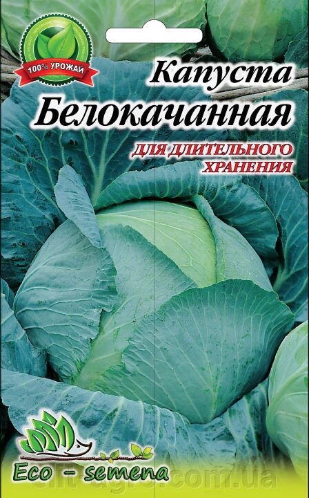 Eco-semena. Насіння Капуста Білоголова пізня, 3 г від компанії ᐉ АГРОМАГАЗИН «ELIT-AGRO» / ТОВАРИ для будинку, саду, городу - фото 1