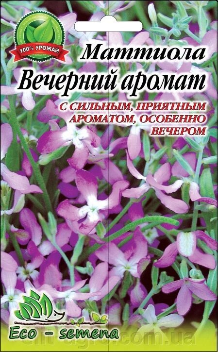 Eco-semena. Насіння Квіти Матіола Вечірній Аромат, 1 г від компанії ᐉ АГРОМАГАЗИН «ELIT-AGRO» / ТОВАРИ для будинку, саду, городу - фото 1