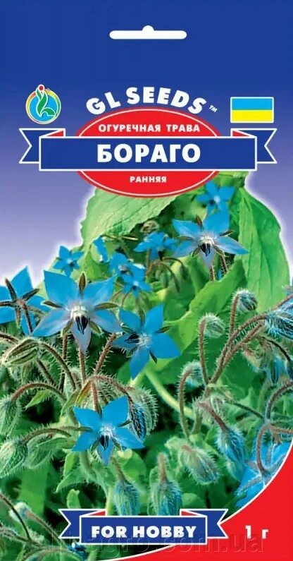GL Seeds. Насіння огіркової трави Бораго 1 г від компанії ᐉ АГРОМАГАЗИН «ELIT-AGRO» / ТОВАРИ для будинку, саду, городу - фото 1