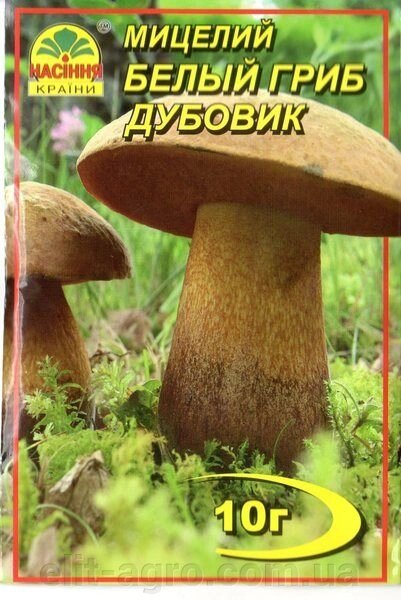 Гриби Міцелій (Сухий Міцелій) БІЛИЙ ГРИБ Дубовик, 10 г від компанії ᐉ АГРОМАГАЗИН «ELIT-AGRO» / ТОВАРИ для будинку, саду, городу - фото 1