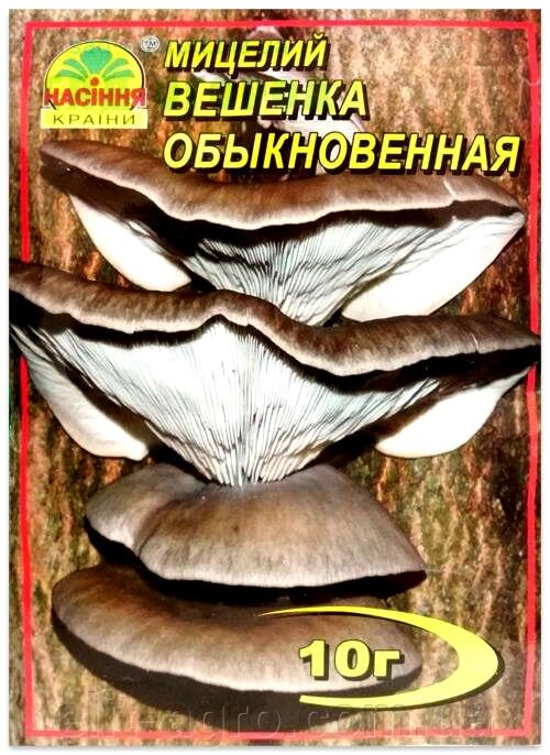 Гриби Міцелій (Сухий Міцелій) ГЛИВА Звичайна, 10 г від компанії ᐉ АГРОМАГАЗИН «ELIT-AGRO» / ТОВАРИ для будинку, саду, городу - фото 1