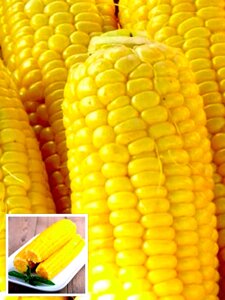Кукурудза цукрова Бондюель 20 г (zip-paket)