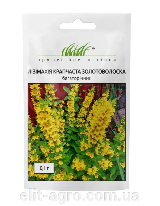 Лізімахія крапчаста Золотоволоска Професійне насіння 0,1 г від компанії ᐉ АГРОМАГАЗИН «ELIT-AGRO» / ТОВАРИ для будинку, саду, городу - фото 1