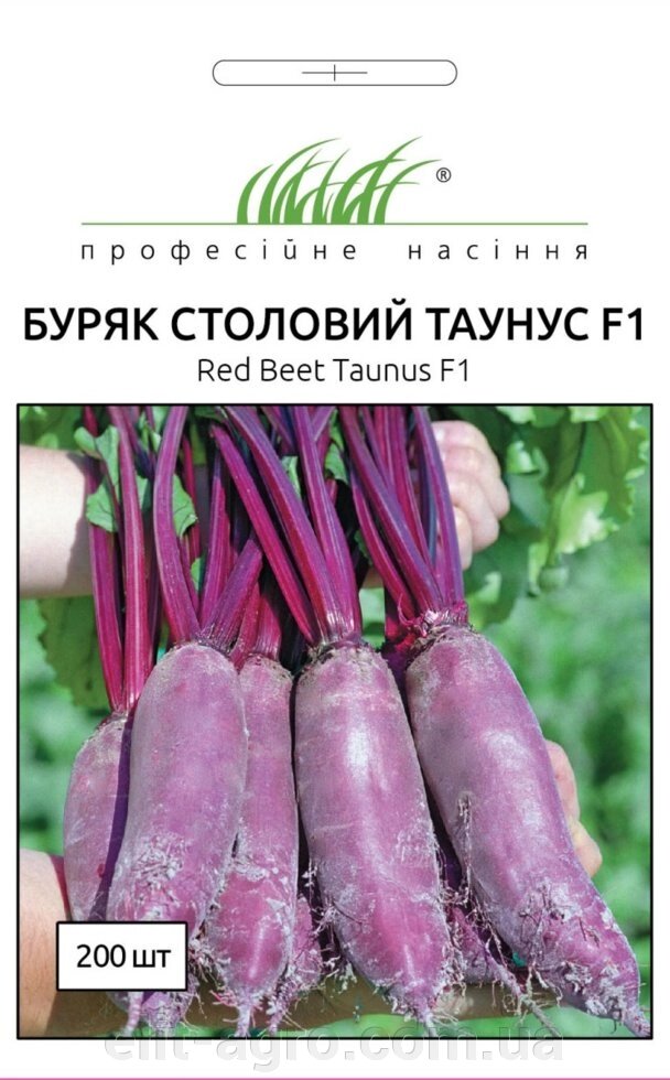 Насіння Буряк столовий Таунус F1 Голландія 200 шт від компанії ᐉ АГРОМАГАЗИН «ELIT-AGRO» / ТОВАРИ для будинку, саду, городу - фото 1