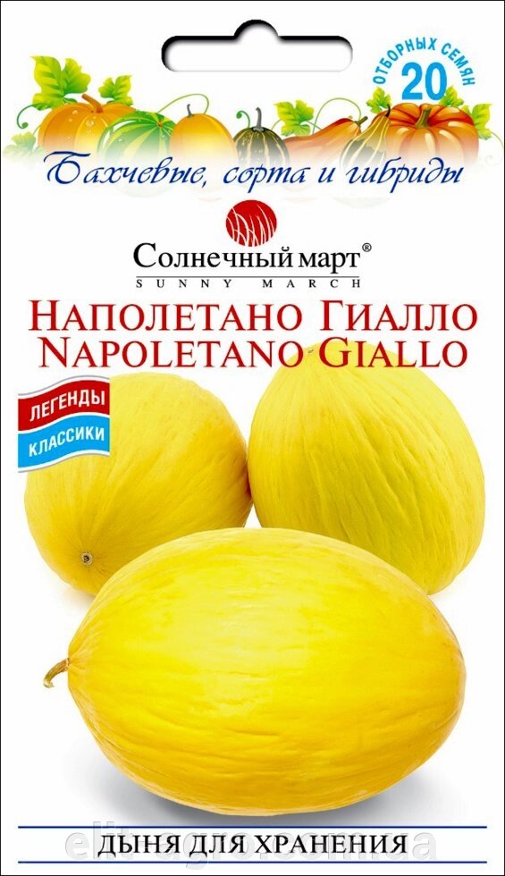 Насіння Диня Наполетано Гіалло Сонячний Март 20 шт від компанії ᐉ АГРОМАГАЗИН «ELIT-AGRO» / ТОВАРИ для будинку, саду, городу - фото 1