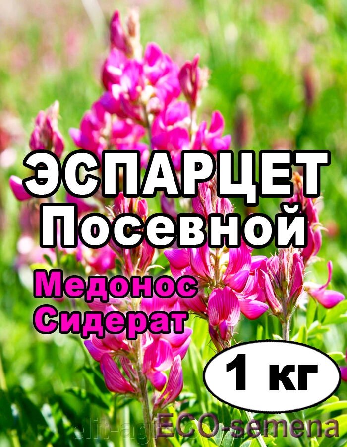 Насіння Еспарцет / від 1 кг на вагу від компанії ᐉ АГРОМАГАЗИН «ELIT-AGRO» / ТОВАРИ для будинку, саду, городу - фото 1