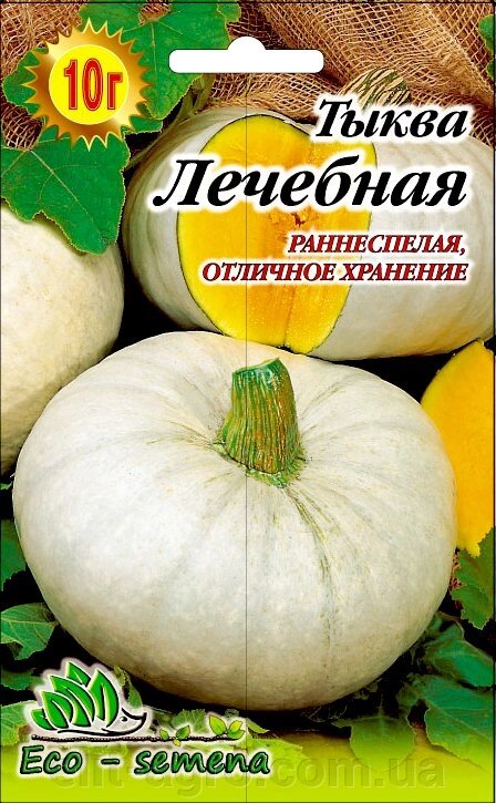 Насіння Гарбуз Лікувальна, 10 г від компанії ᐉ АГРОМАГАЗИН «ELIT-AGRO» / ТОВАРИ для будинку, саду, городу - фото 1