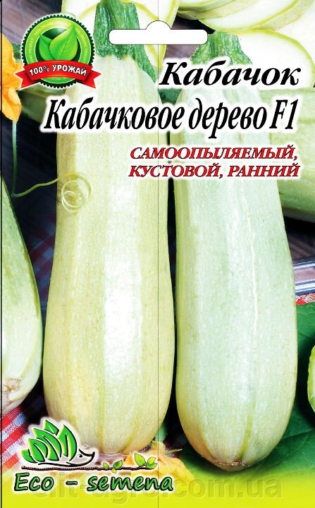 Насіння Кабачок-цукіні кабачкова Дерево F1 / 100 шт від компанії ᐉ АГРОМАГАЗИН «ELIT-AGRO» / ТОВАРИ для будинку, саду, городу - фото 1