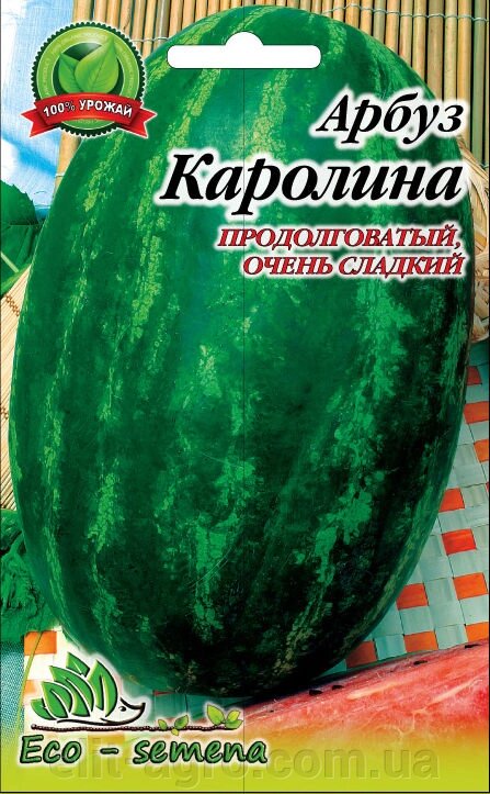 Насіння Кавун Кароліна (довгастий) 100 г від компанії ᐉ АГРОМАГАЗИН «ELIT-AGRO» / ТОВАРИ для будинку, саду, городу - фото 1