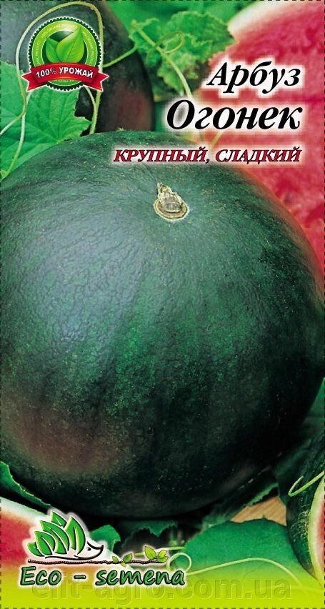 Насіння Кавун Вогник 3 г від компанії ᐉ АГРОМАГАЗИН «ELIT-AGRO» / ТОВАРИ для будинку, саду, городу - фото 1