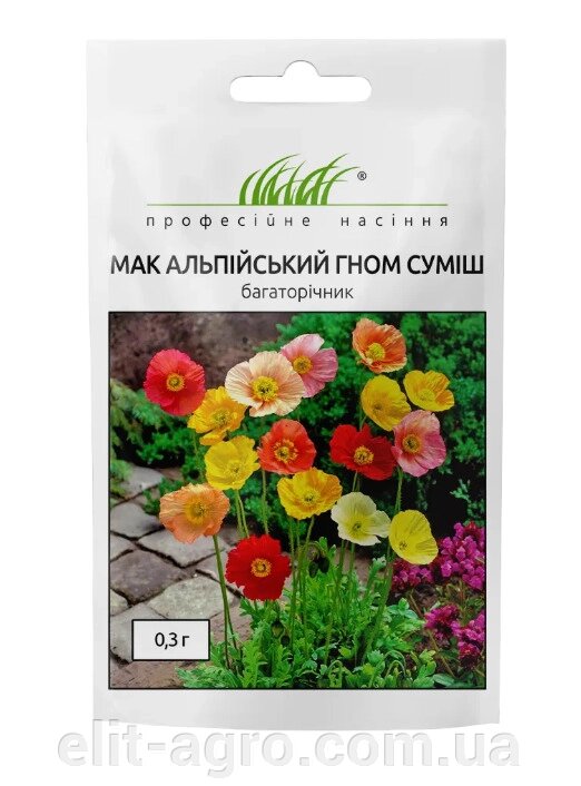 Насіння Мак альпійський Гном Професійне насіння 0,3 г від компанії ᐉ АГРОМАГАЗИН «ELIT-AGRO» / ТОВАРИ для будинку, саду, городу - фото 1