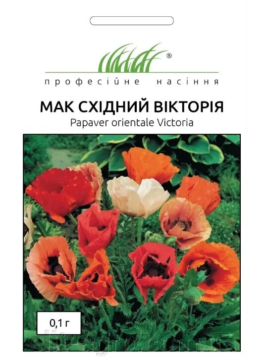 Насіння Мак східний Вікторія Професійне насіння 0,1 г від компанії ᐉ АГРОМАГАЗИН «ELIT-AGRO» / ТОВАРИ для будинку, саду, городу - фото 1