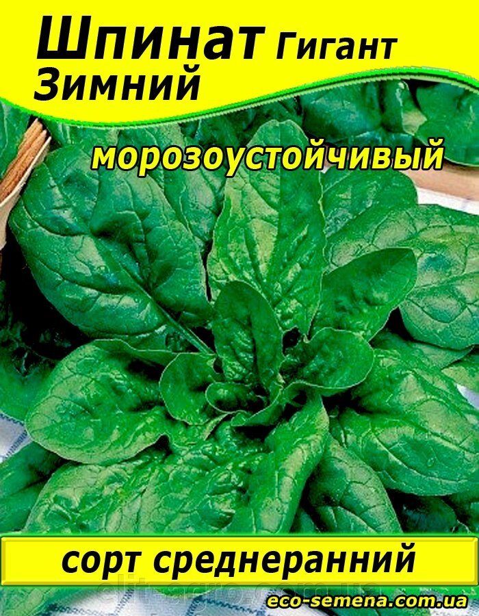 Насіння Шпинат Гігантський 100 г від компанії ᐉ АГРОМАГАЗИН «ELIT-AGRO» / ТОВАРИ для будинку, саду, городу - фото 1