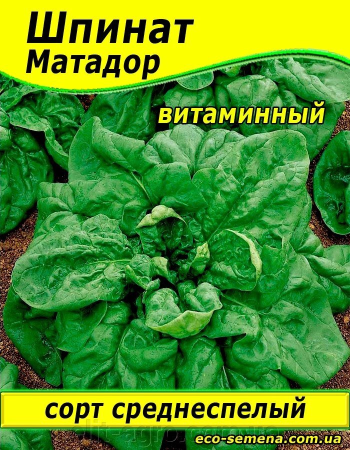 Насіння Шпинат Матадор 100 г від компанії ᐉ АГРОМАГАЗИН «ELIT-AGRO» / ТОВАРИ для будинку, саду, городу - фото 1