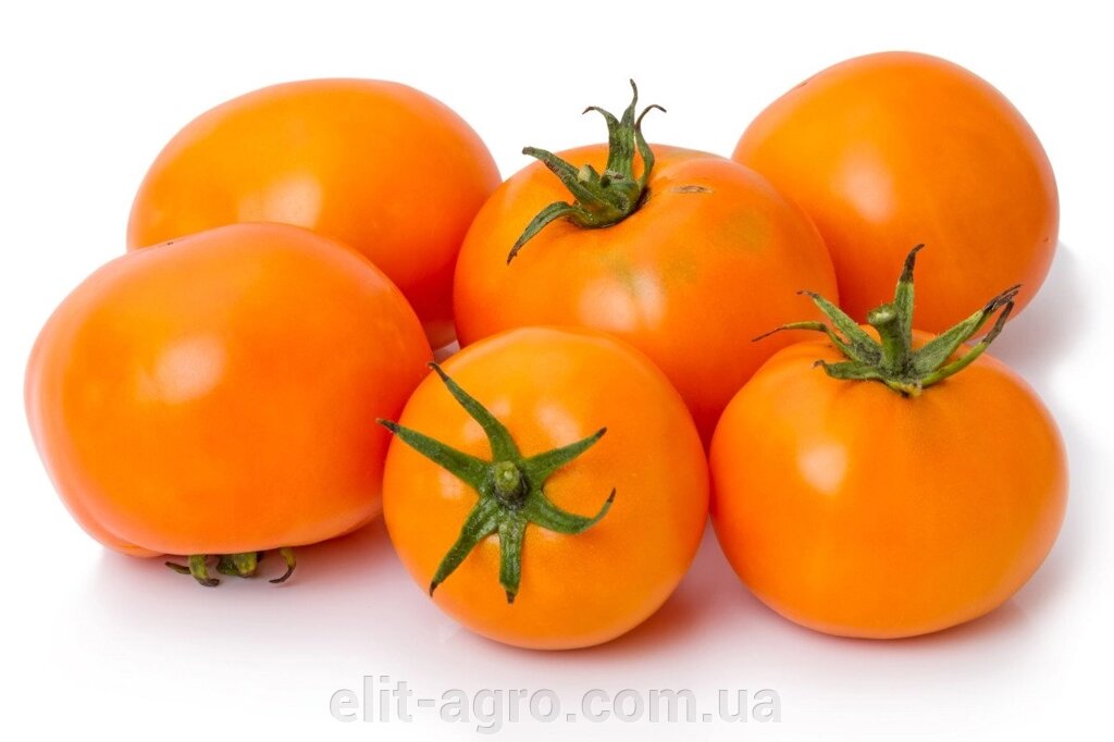 Насіння томат Оранж 20 сем (зіпер пакет) від компанії ᐉ АГРОМАГАЗИН «ELIT-AGRO» / ТОВАРИ для будинку, саду, городу - фото 1
